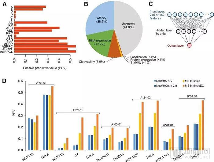 行研 | 腫瘤新生抗原的夜與霧-肽度TIMEDOO