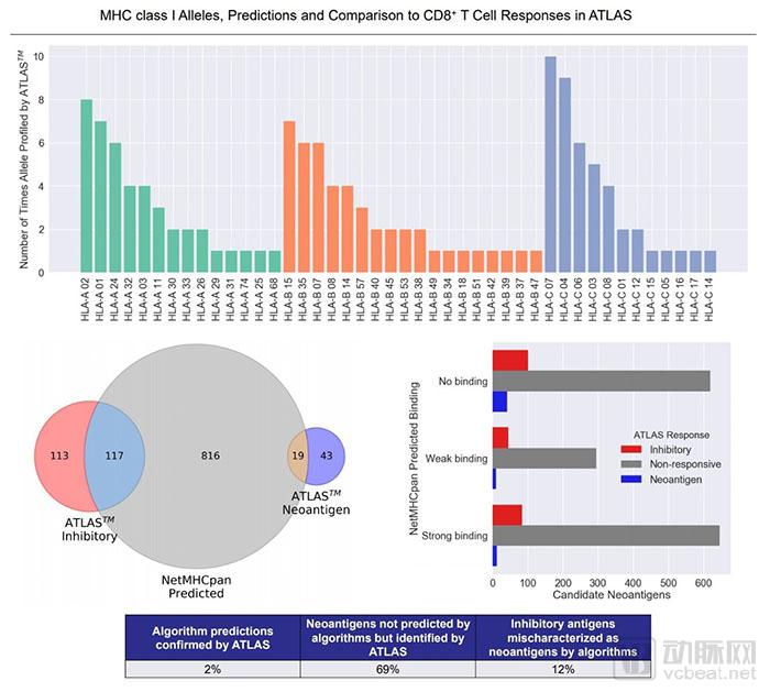 行研 | 腫瘤新生抗原的夜與霧-肽度TIMEDOO