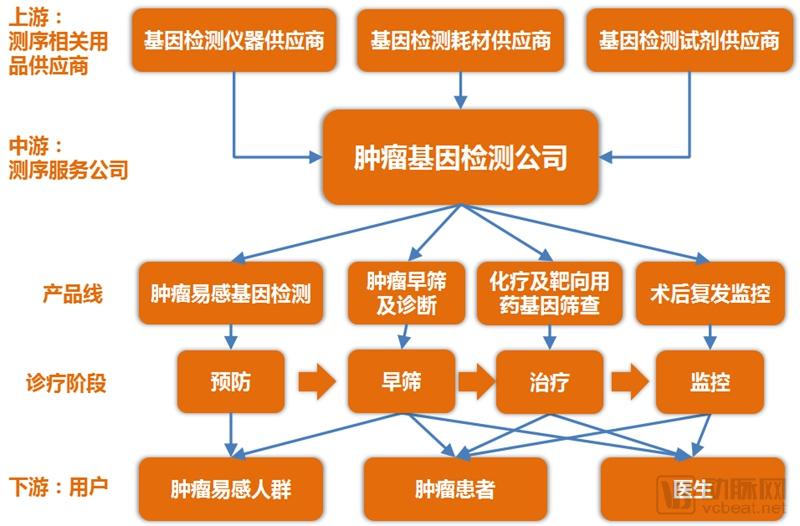 腫瘤基因檢測行業(yè)研究報告：覆蓋診療全流程，治療已成剛需，早篩將有突破-肽度TIMEDOO