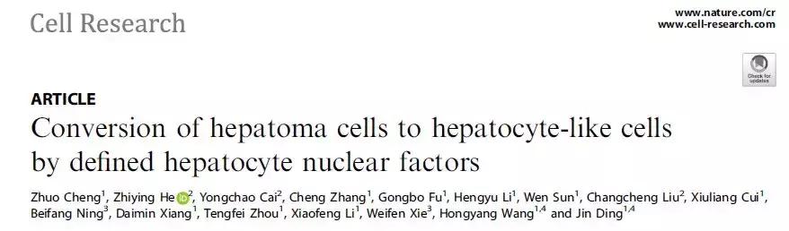 《Nature》子刊:打入肝癌細胞內(nèi)部令其“返璞歸真”-肽度TIMEDOO