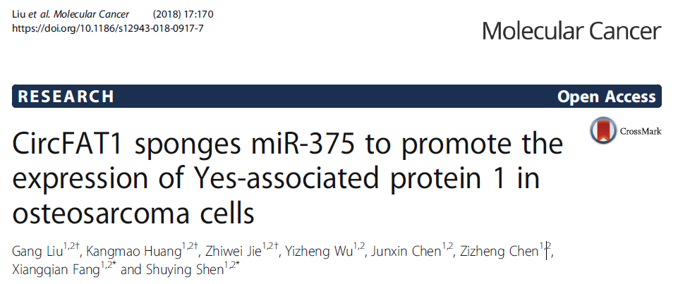 circFAT1與惡性骨肉瘤發(fā)生相關(guān)-肽度TIMEDOO