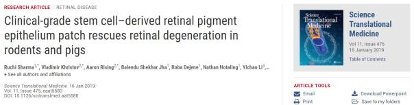 首次人體試驗！美國將開展干細(xì)胞治療黃斑變性-肽度TIMEDOO