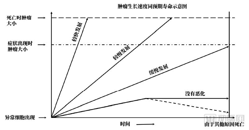 10萬(wàn)膠囊胃鏡檢查數(shù)據(jù)透視中國(guó)消化道健康狀況，探討器械智能化的社會(huì)價(jià)值，《中國(guó)消化道疾病檢查白皮書(shū)》發(fā)布-肽度TIMEDOO