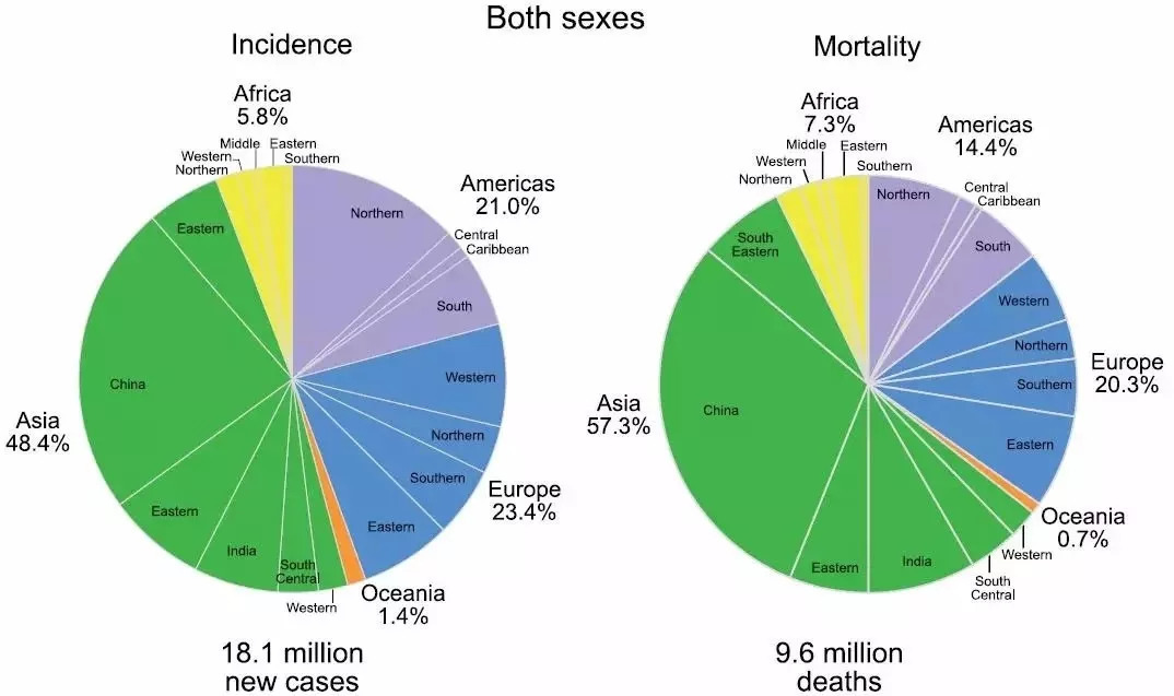 最新全球癌癥統(tǒng)計(jì):今年將有1000萬人死于癌癥-肽度TIMEDOO