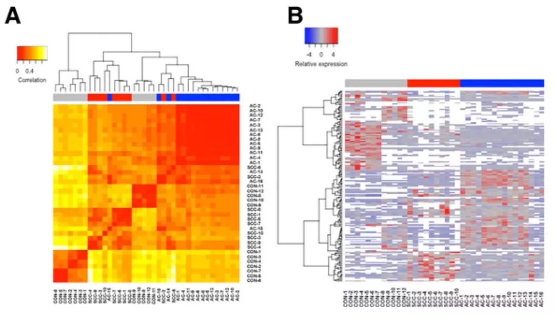 外泌體miRNA測序：如何搞定10分的miRNA標(biāo)志物Paper？-肽度TIMEDOO