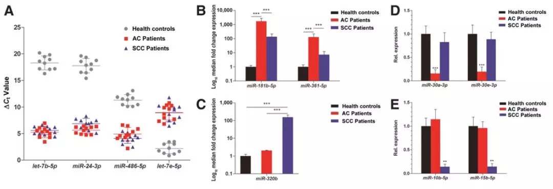 外泌體miRNA測序：如何搞定10分的miRNA標(biāo)志物Paper？-肽度TIMEDOO