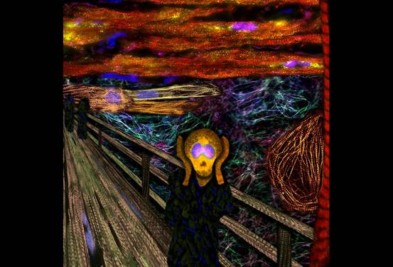 Cell：2019年生物物理學(xué)美圖欣賞，領(lǐng)略科學(xué)之美-肽度TIMEDOO