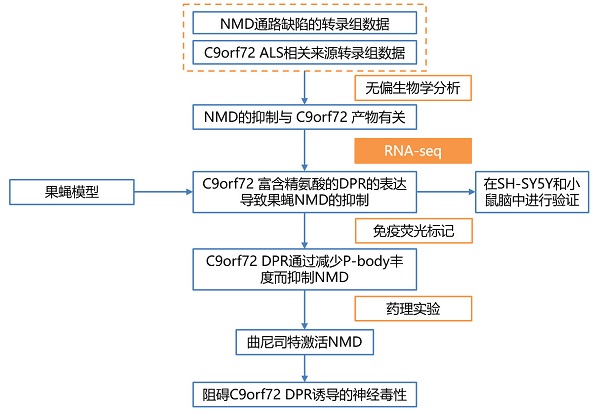 科學家發(fā)現新策略，有望“解凍”漸凍人!-肽度TIMEDOO
