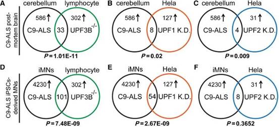 科學家發(fā)現新策略，有望“解凍”漸凍人!-肽度TIMEDOO