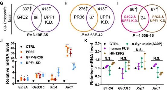 科學家發(fā)現新策略，有望“解凍”漸凍人!-肽度TIMEDOO