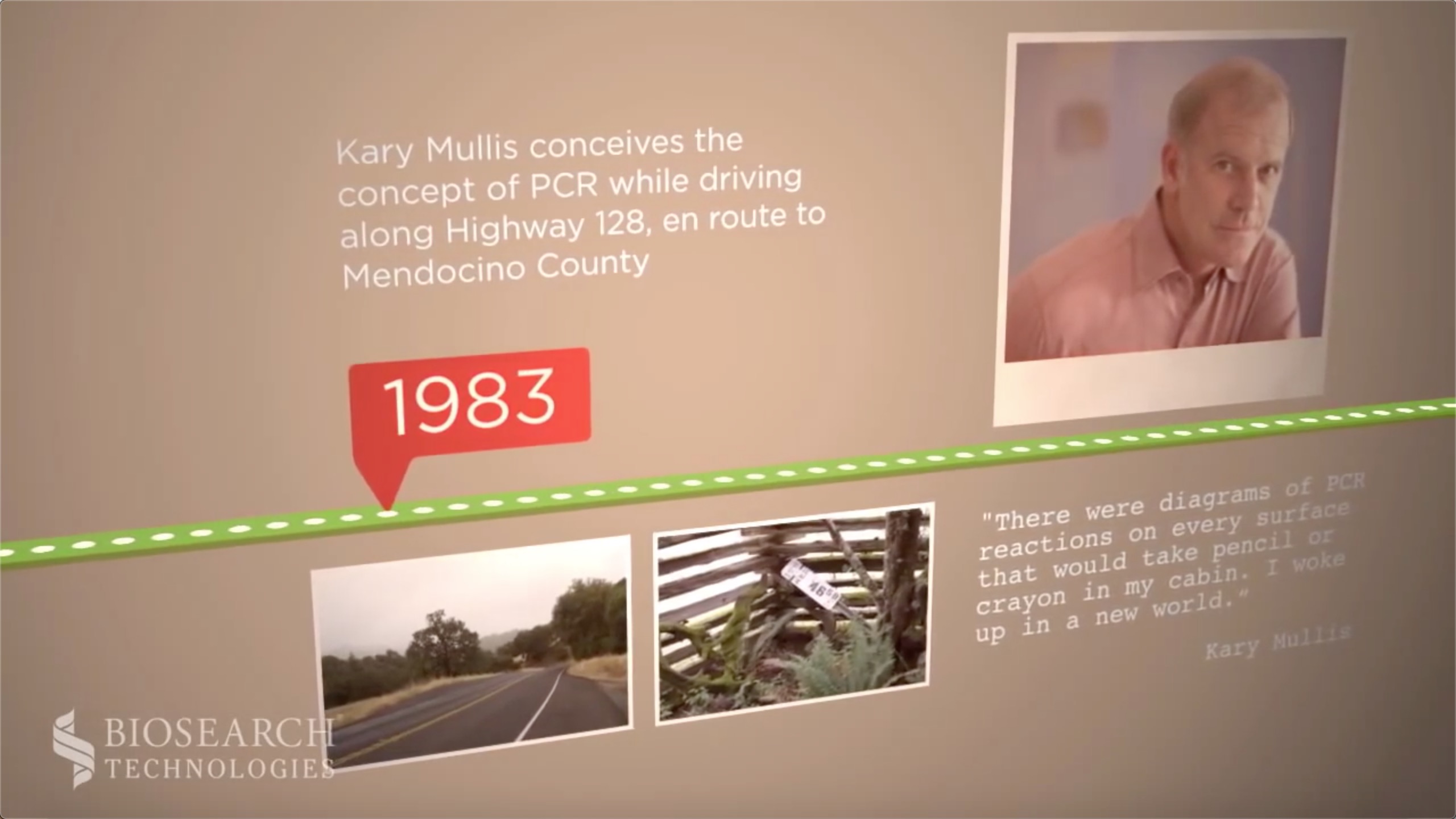 history of PCR-肽度TIMEDOO