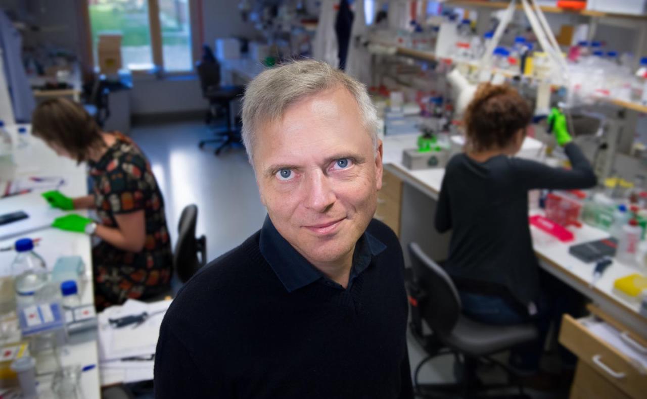 Science：改變整個(gè)學(xué)科，科學(xué)家居然在皮膚中發(fā)現(xiàn)新的疼痛器官-肽度TIMEDOO