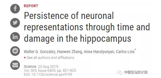 這項(xiàng)研究可能對(duì)阿爾茨海默癥、中風(fēng)等的新藥研發(fā)具有重要意義-肽度TIMEDOO