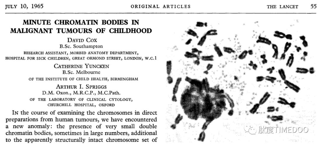 專訪|Nature重大發(fā)現(xiàn)：癌基因竟不在染色體上？第一作者吳思涵親身解讀！-肽度TIMEDOO