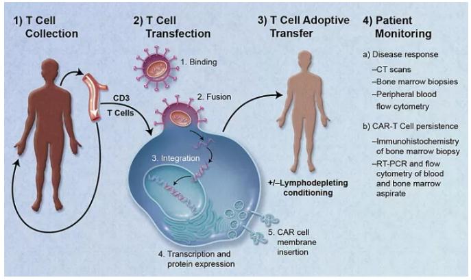 近5000份問(wèn)卷顯示，淋巴瘤患者最期待上市的創(chuàng)新療法是這些-肽度TIMEDOO