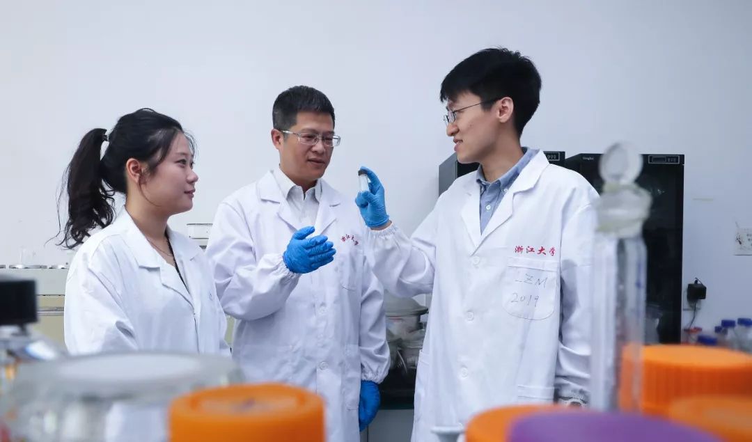 點(diǎn)贊！浙大團(tuán)隊(duì)再添一篇《自然》！-肽度TIMEDOO