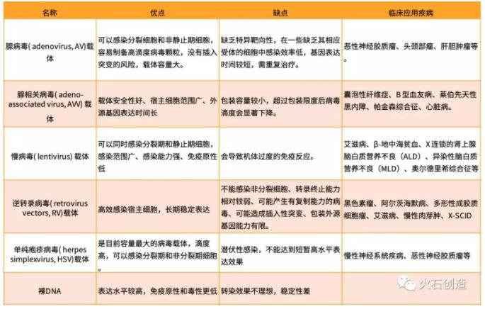 22.jpg 2019年我國基因治療載體行業(yè)發(fā)展現(xiàn)狀-肽度TIMEDOO