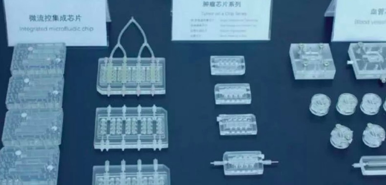 東南大學(xué)蘇州醫(yī)療器械研究院:用芯片制造人體器官-肽度TIMEDOO