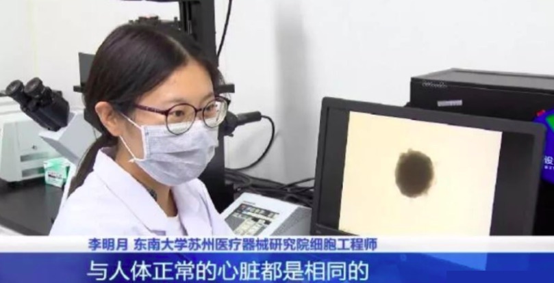 東南大學(xué)蘇州醫(yī)療器械研究院:用芯片制造人體器官-肽度TIMEDOO