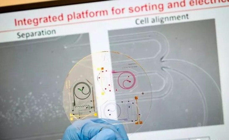 南洋理工大學(xué)最新芯片:一滴血可測(cè)免疫系統(tǒng)是否發(fā)炎或受感染-肽度TIMEDOO