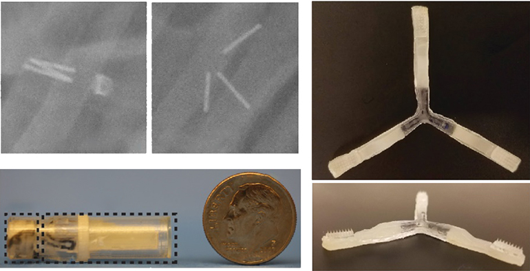 麻省理工學院：研發(fā)全新給藥技術(shù)，用于口服胰島素、蛋白質(zhì)類藥物的新型藥物膠囊-肽度TIMEDOO