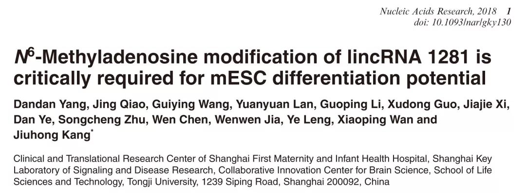 研究m6A與非編碼RNAs相互作用沒思路？這篇Review值得借鑒-肽度TIMEDOO