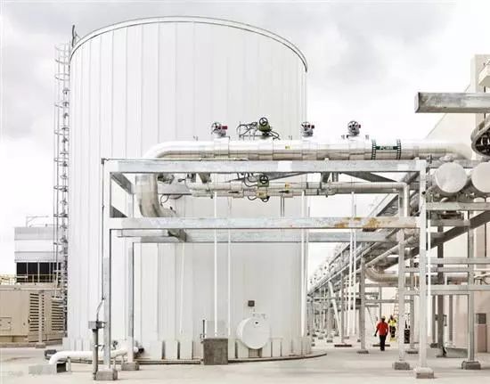 研究m6A與非編碼RNAs相互作用沒思路？這篇Review值得借鑒-肽度TIMEDOO