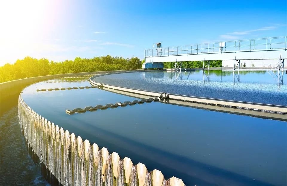 研究m6A與非編碼RNAs相互作用沒思路？這篇Review值得借鑒-肽度TIMEDOO