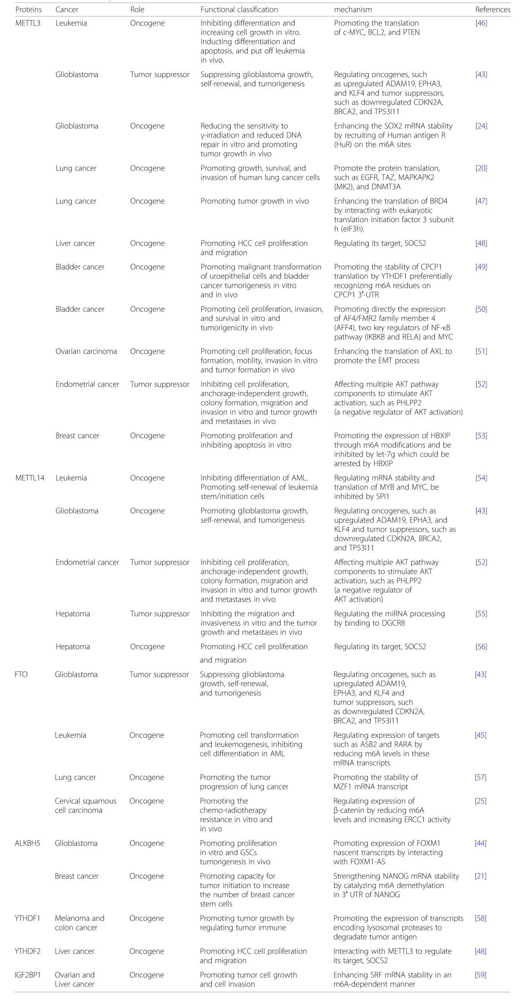 研究m6A與非編碼RNAs相互作用沒思路？這篇Review值得借鑒-肽度TIMEDOO
