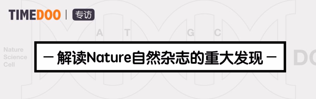 專訪|Nature重大發(fā)現(xiàn)：癌基因竟不在染色體上？第一作者吳思涵親身解讀！-肽度TIMEDOO