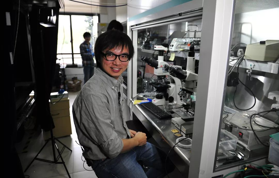 復(fù)旦連發(fā)兩篇《自然》主刊！-肽度TIMEDOO