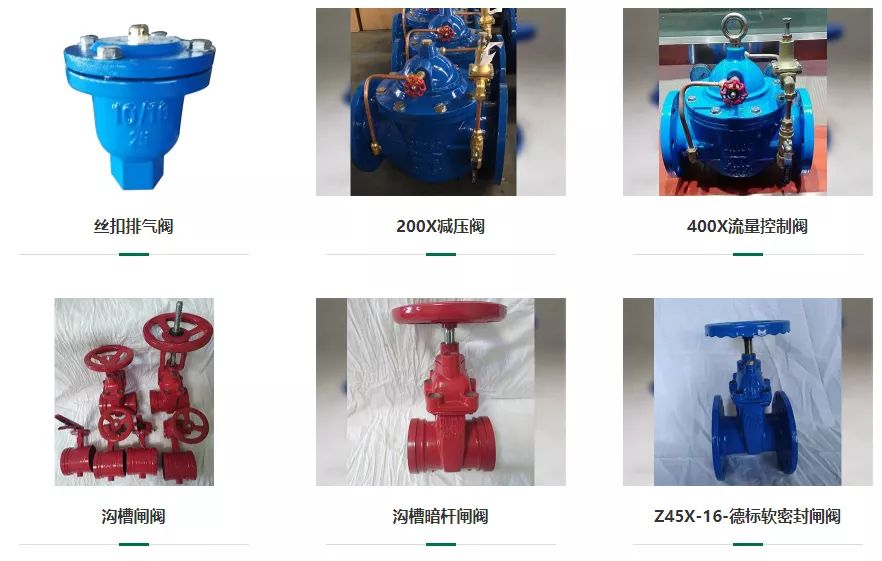 研究m6A與非編碼RNAs相互作用沒思路？這篇Review值得借鑒-肽度TIMEDOO