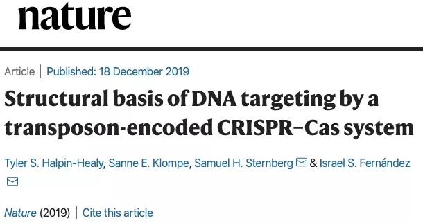 基因編輯高清細(xì)節(jié)首次被捕獲，新工具改進(jìn)CRISPR系統(tǒng)的不足-肽度TIMEDOO