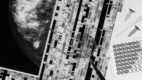 遺傳背景可強烈改變單基因突變影響 多基因評估有助更好預(yù)測癌癥風(fēng)險-肽度TIMEDOO