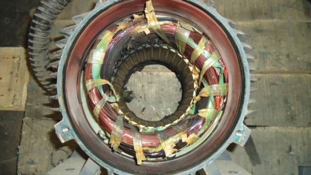 華人科學(xué)家提出基因編輯新技術(shù) 可修正89%遺傳缺陷-肽度TIMEDOO