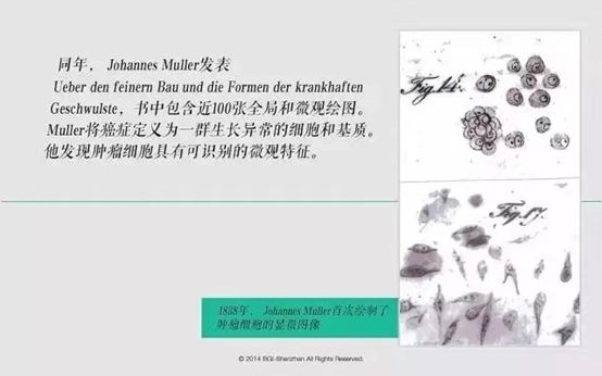 華大基因CEO尹燁：一文讀懂腫瘤的過去、現(xiàn)在和未來-肽度TIMEDOO