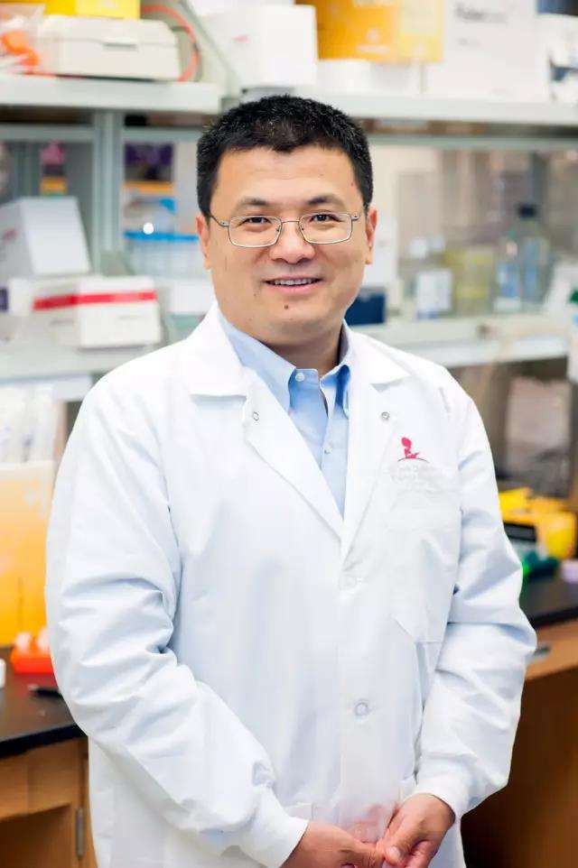 美國華人科學(xué)家重磅新成果:重編程T細(xì)胞增強(qiáng)癌癥免疫療效-肽度TIMEDOO