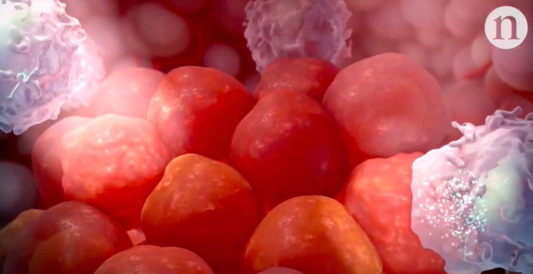 Nature醫(yī)學動畫:解碼癌癥免疫學,尋找隱藏的腫瘤-肽度TIMEDOO