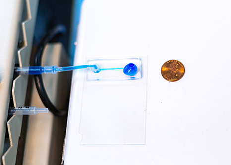 德克薩斯大學達拉斯分校:生物工程師開發(fā)人工角膜模型研究眼睛的損傷-肽度TIMEDOO