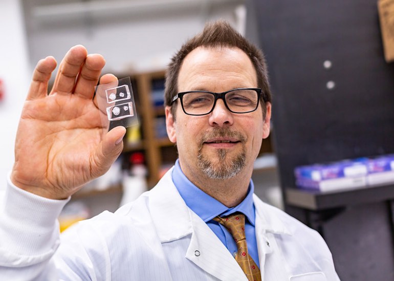 德克薩斯大學達拉斯分校:生物工程師開發(fā)人工角膜模型研究眼睛的損傷-肽度TIMEDOO