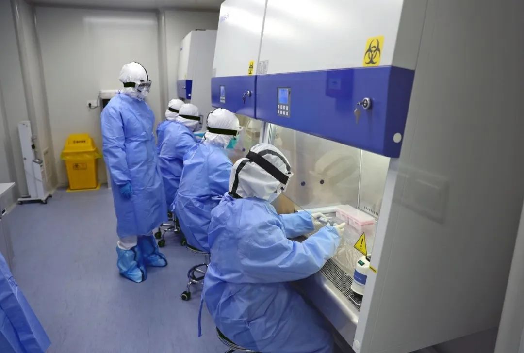 華大基因在全國完成逾20萬人份核酸檢測 武漢“火眼”5.5萬人份-肽度TIMEDOO