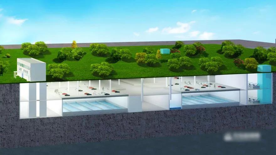 第七講：和小姐姐一起學(xué)習(xí)“蝴蝶拍技術(shù)”，感受身體的內(nèi)在力量-肽度TIMEDOO