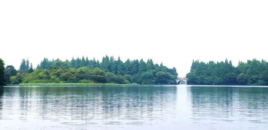 案例解讀丨高通量高內(nèi)涵siRNA文庫篩選發(fā)現(xiàn)lncRNA DRAIC為新型自噬調(diào)節(jié)因子-肽度TIMEDOO