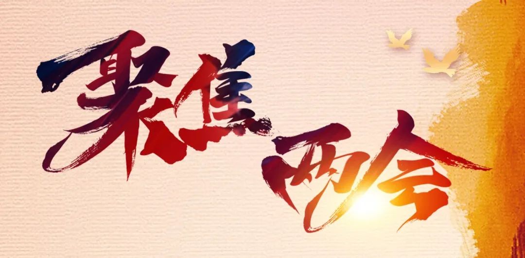 劃重點!詳讀2020政府工作報告衛(wèi)生健康相關(guān)內(nèi)容(附全文)-肽度TIMEDOO