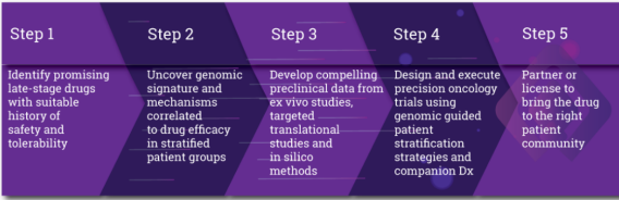 AI制藥商Lantern Pharma:利用AI模型精確匹配適用現(xiàn)有新藥療法的患者群-肽度TIMEDOO