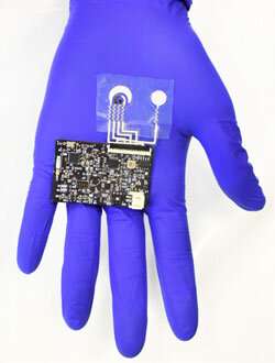 加利福尼亞大學(xué)：開發(fā)新型可穿戴傳感器，可追蹤汗液中的維生素C水平-肽度TIMEDOO