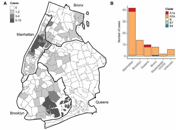 《科學(xué)》刊發(fā)美國研究:紐約新冠病毒主要由歐洲和美洲引入-肽度TIMEDOO