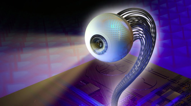 香港科技大學(xué): 仿生電化學(xué)眼革命性研究登上Nature，部分能力比人眼更強(qiáng)大-肽度TIMEDOO