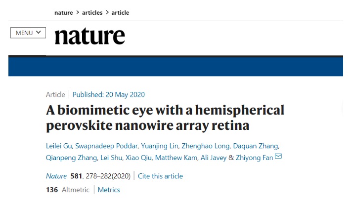 香港科技大學(xué): 仿生電化學(xué)眼革命性研究登上Nature，部分能力比人眼更強(qiáng)大-肽度TIMEDOO