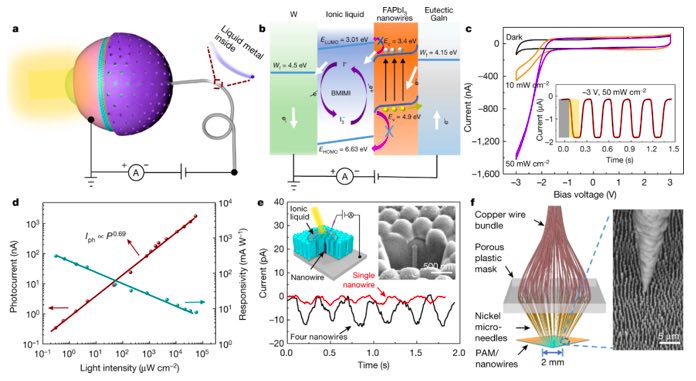 香港科技大學(xué): 仿生電化學(xué)眼革命性研究登上Nature，部分能力比人眼更強(qiáng)大-肽度TIMEDOO